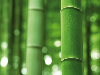 Imbottitura Bamboo Bultex