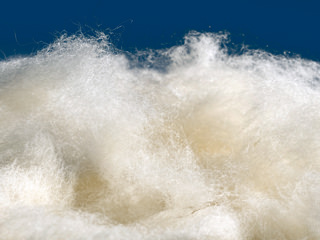 Imbottitura Biopolimeri Bultex